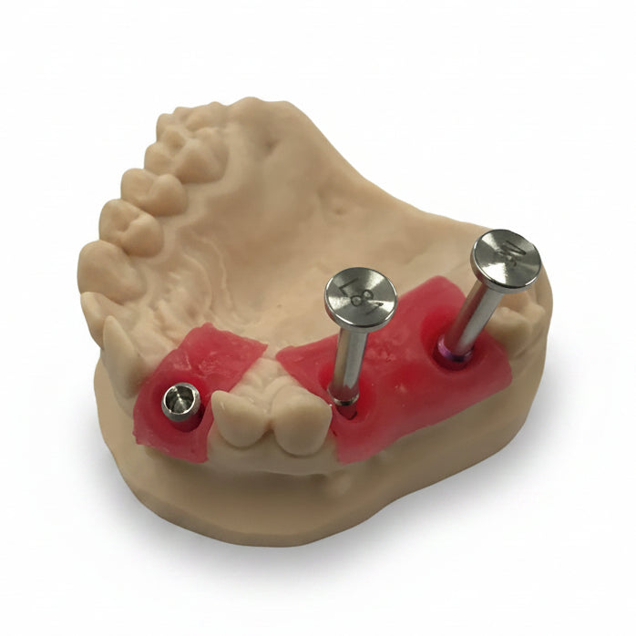 3Dresyn OD-S Soft Gingiva Mask Resin