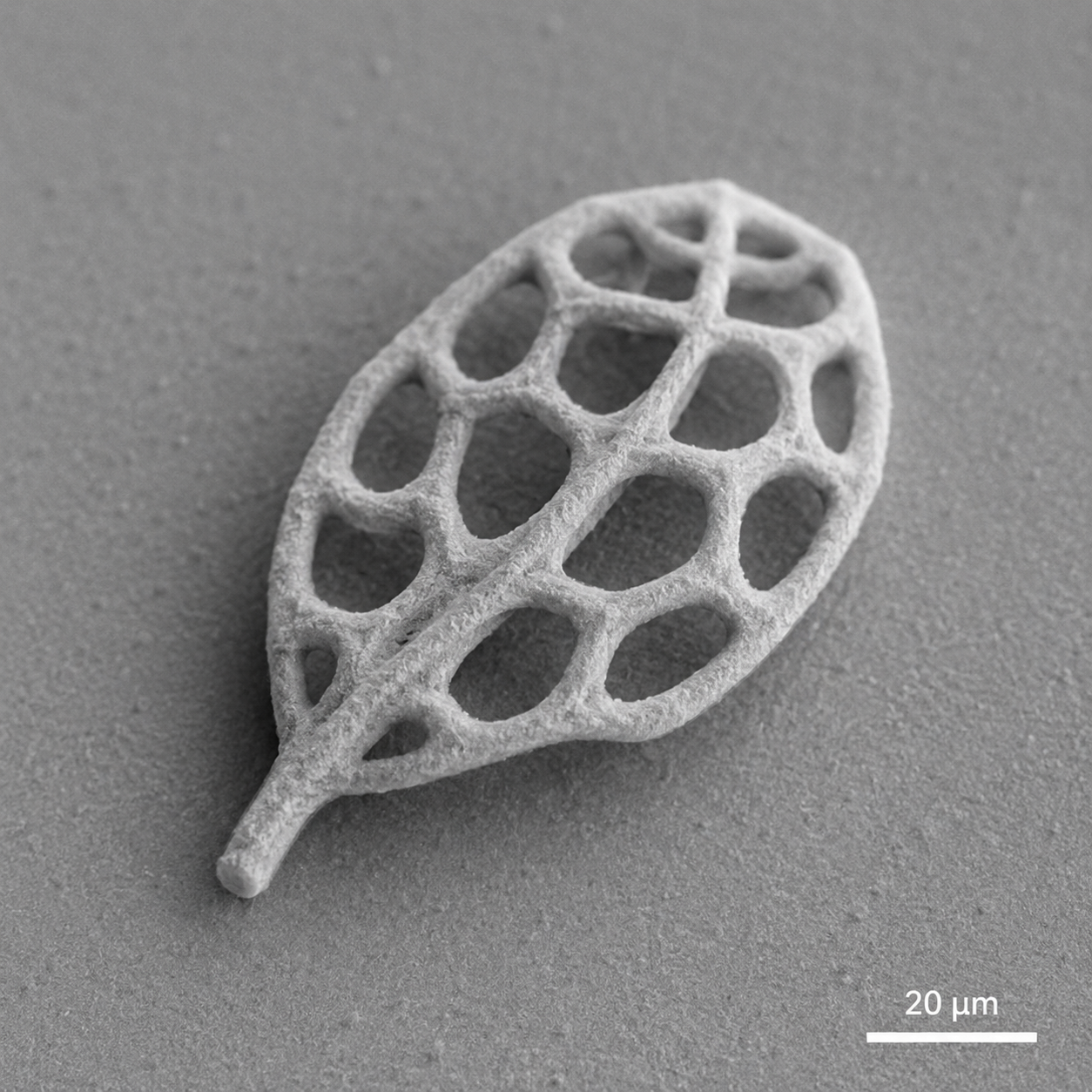 Illustrative AI-generated visualization of a 3Dresyns 2PP printed microstructure