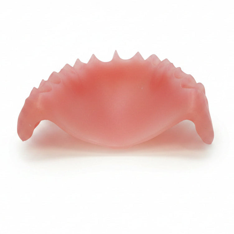 3Dresyn OD FDB Flexible Denture Base Resin