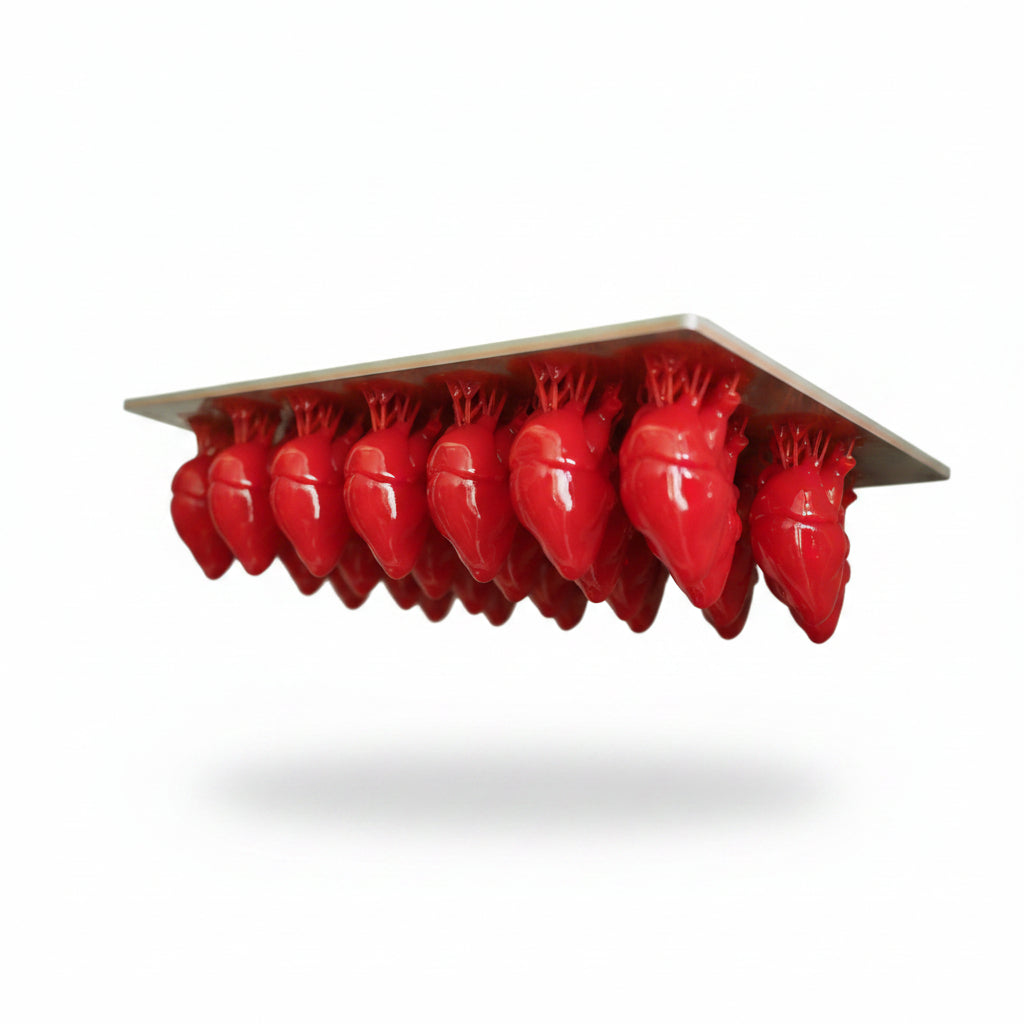 3Dresyn SF Soft Flexible Resin (A30)