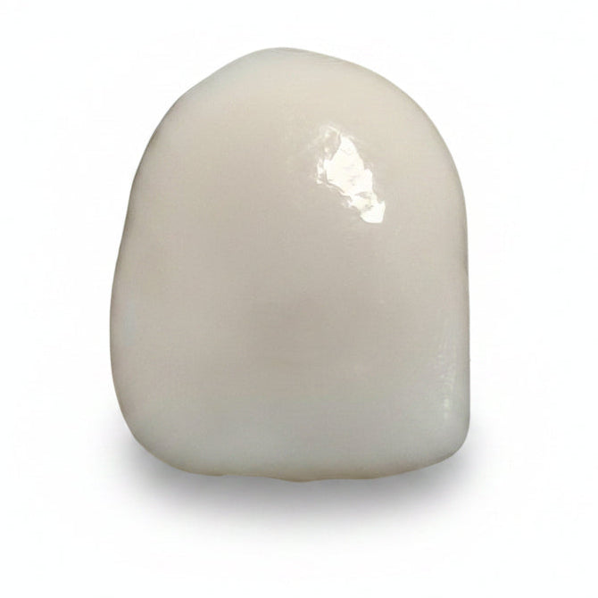 Tooth colors A1-4 photopolymer resin (view 3)