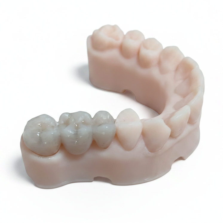Tooth makeup kit of Transparent Vita A4 photopolymer resin (view 3)