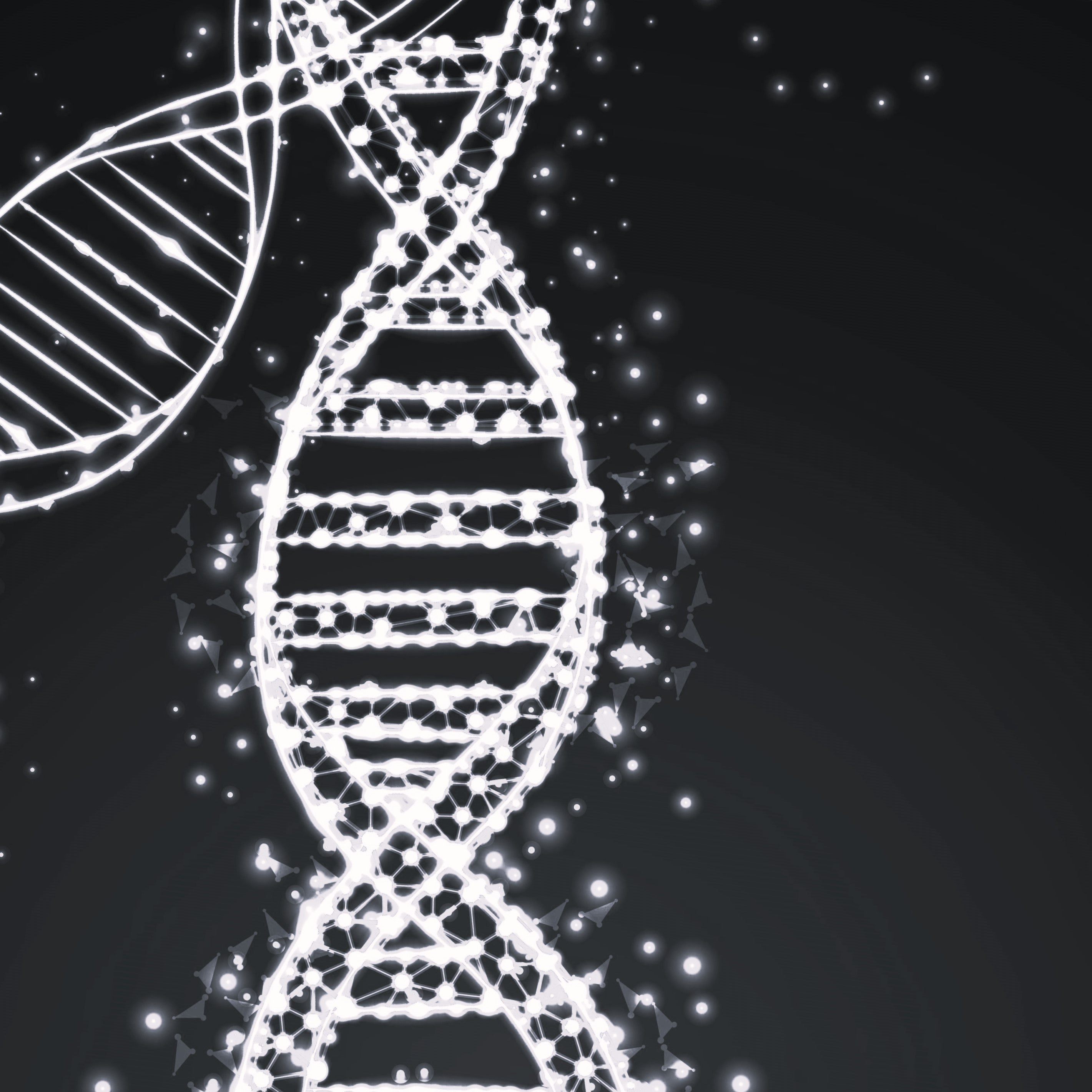 3Dresyn 2PP T2 Bio, Biocompatible Tough photopolymer for two photon polymerization