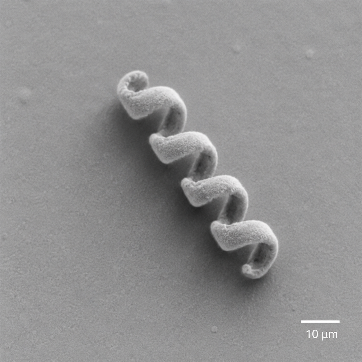 Illustrative AI-generated visualization of a 3Dresyns 2PP printed microstructure