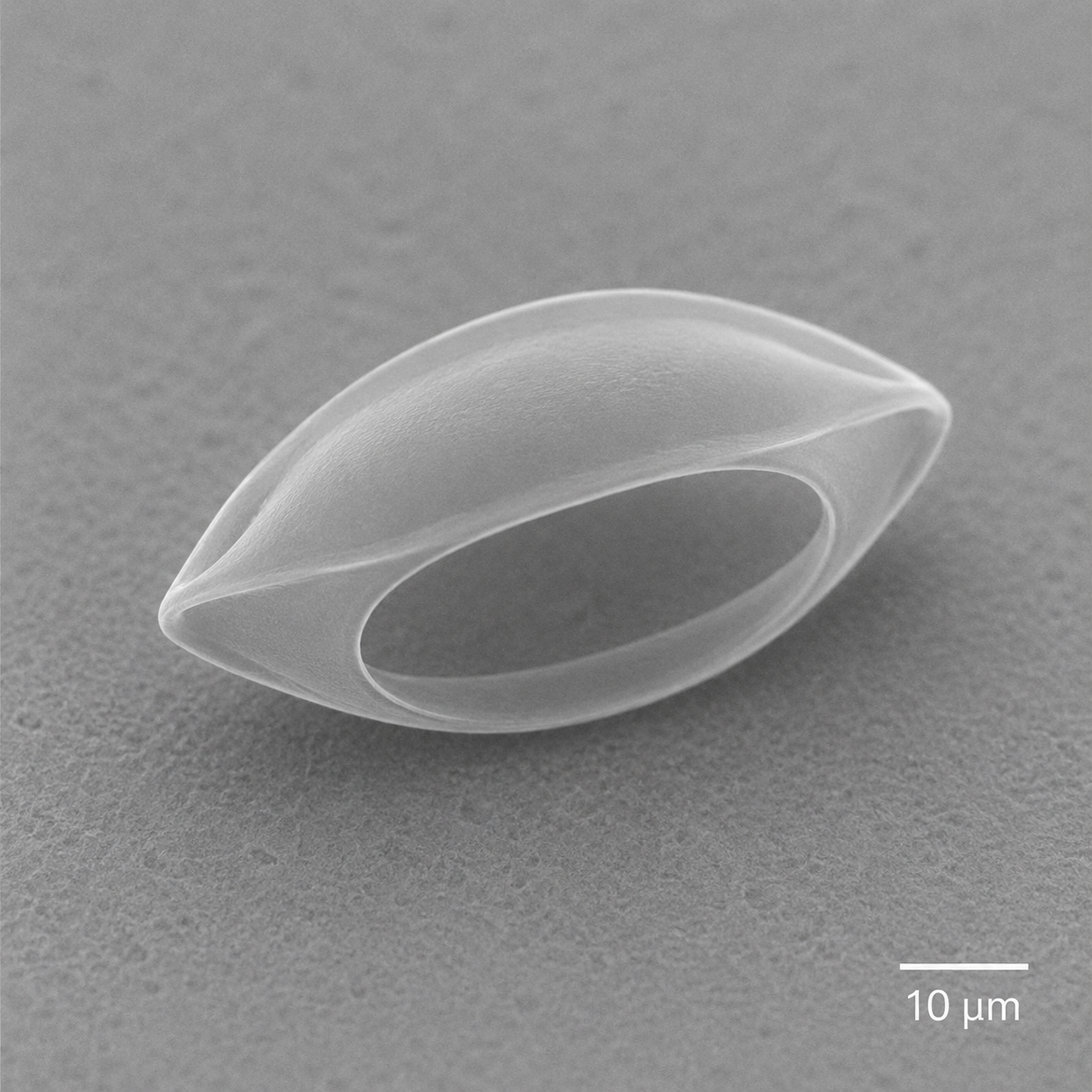 Illustrative AI-generated visualization of a 3Dresyns 2PP printed microstructure