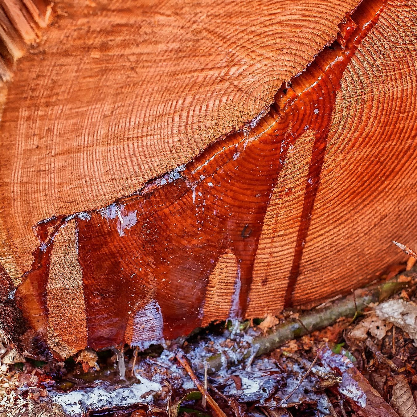 3D-ADD Disper-All2, fast curing ultra effective dispersant