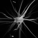 3Dresyn HP1 Clear High Permittivity optically transparent resin