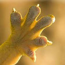 3D-ADD AA2 Bio Hydrophobic Adhesive Additive  for adhesion on difficult surfaces