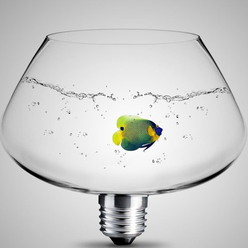 Clear Detoxifier & Purification kit for full cleansing of 3D prints