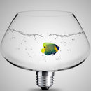 Clear Detoxifier & Purification kit for full cleansing of 3D prints