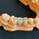 Direct tooth makeup kit of 8 transparent colors and 1 BL1 white for painting tooth prints