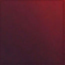 Direct tooth makeup kit of 8 transparent colors and 1 BL1 white for painting tooth prints