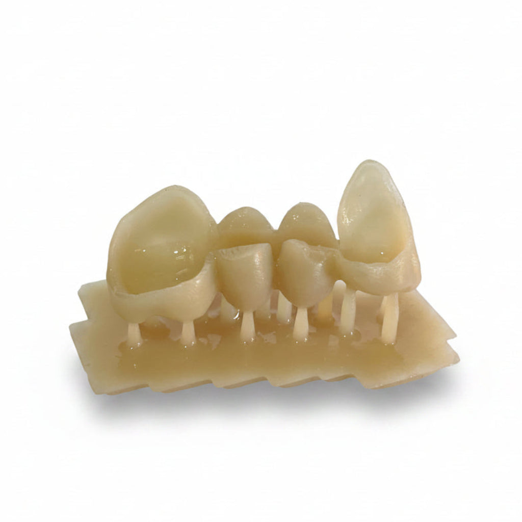 3Dresyn OD C&B MF – Monomer-Free High-Strength Dental Photopolymer for Professional Laboratory Workflows (view 5)