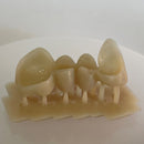 3Dresyn OD C&B MF for printing durable Crowns & Bridges and fixed veneers with Vita colors
