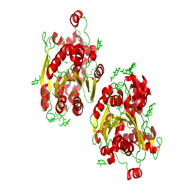 3Dresyn-ase EBC1, Enzymatic Bio Catalyst for biodegradation of 3D prints