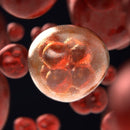 Fine Tuner 2PP FT9 Bio WS, Biobased & Bicompatible Water Soluble photo accelerant for two photon polymerization