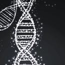 3Dresyn 2PP T2 Bio, Biocompatible Tough photopolymer for two photon polymerization