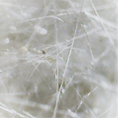 3D-ADD RCC1 Reinforced Composite Concentrate for improving the mechanical properties and the thermal and acoustic insulation of 3Dresyns