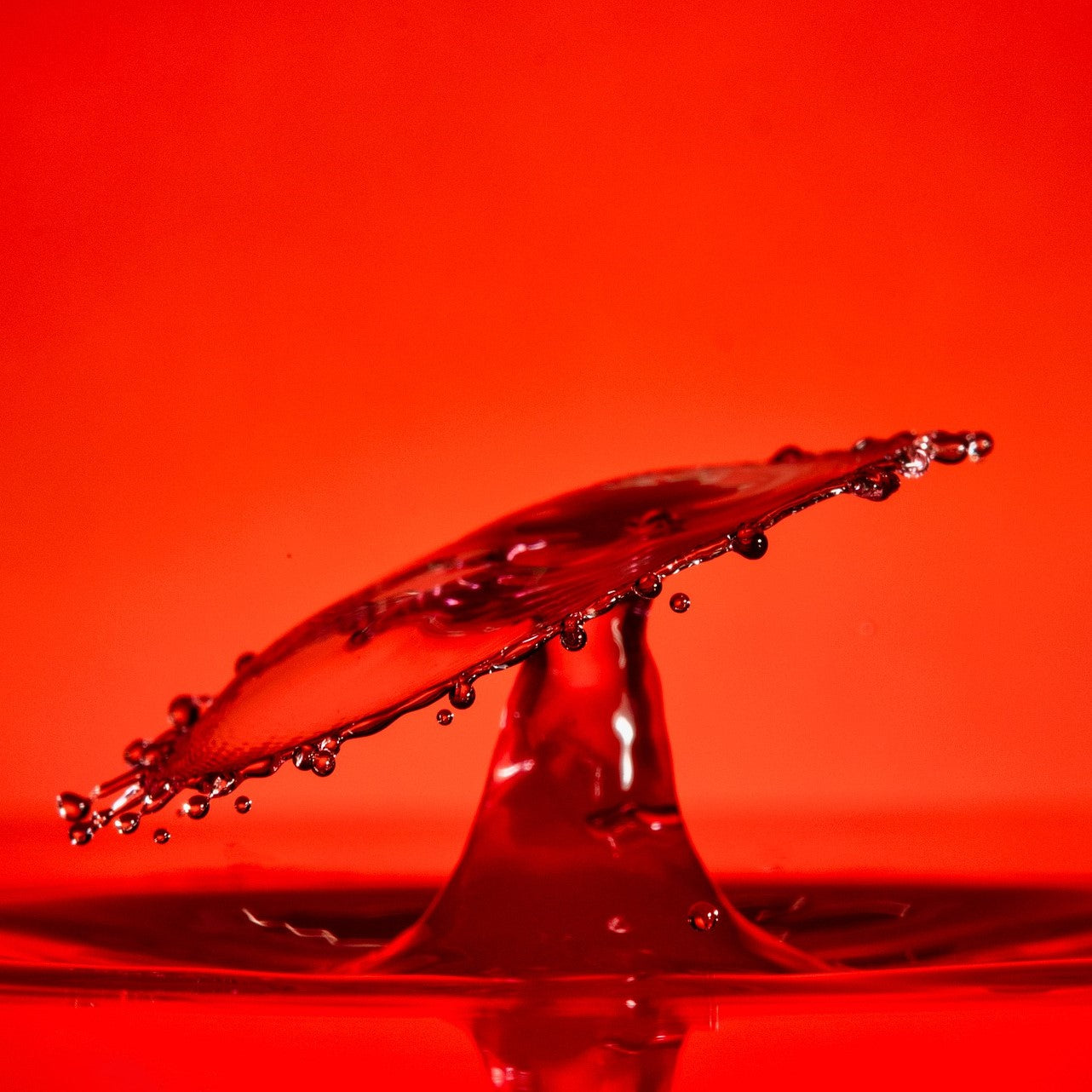 3Dresyn USF Bio D, Ultra Safe & Fast bio based monomer free resin with 50% Bio content