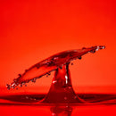 3Dresyn USF Bio D, Ultra Safe & Fast bio based monomer free resin with 50% Bio content