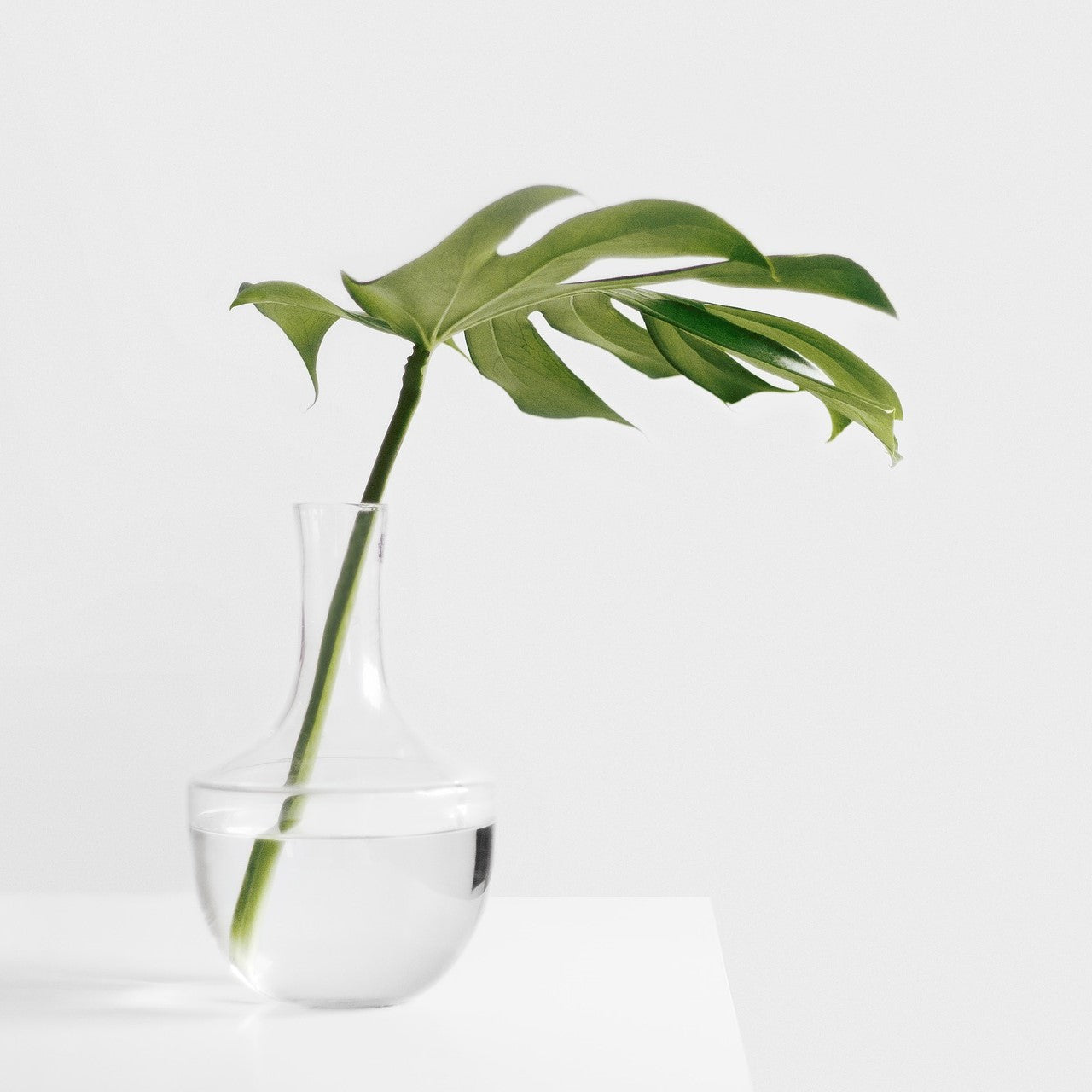 3Dresyn CT MF Clear & Tough Monomer Free