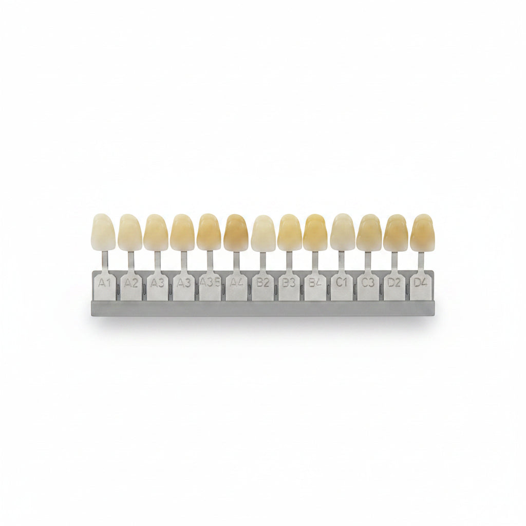 Tooth colors A1-4 photopolymer resin