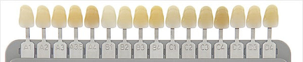 Tooth colors A1-4, B1-4, C1-4, D2-4 & Bleach BL1 for custom coloring 3D resins